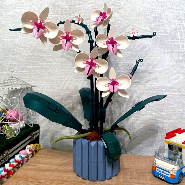 Orchid Building Blocks - Austier